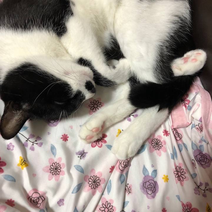 9e6b90c8 48b5 4a7b 9ced 1521e9afb5c8 1535809957518