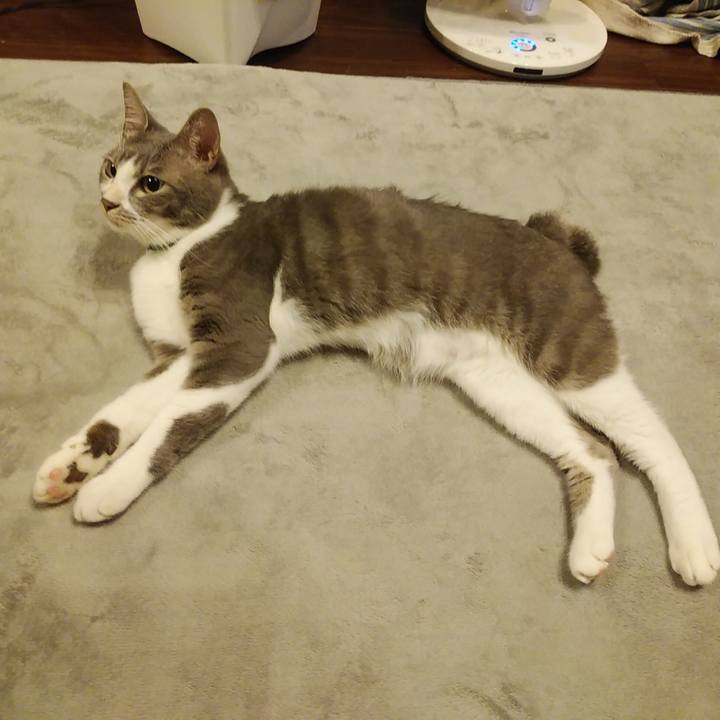 9e6ba064 eeff 48dc 928f 3d360c23890c 1593435365666