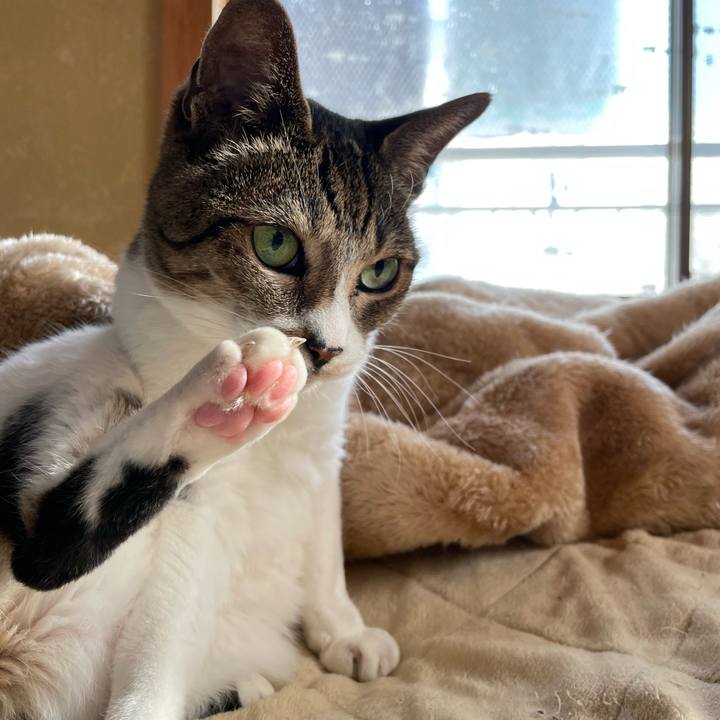 9e6ba228 0bf1 4f76 966b 4540cc0cdb92 1641177114155