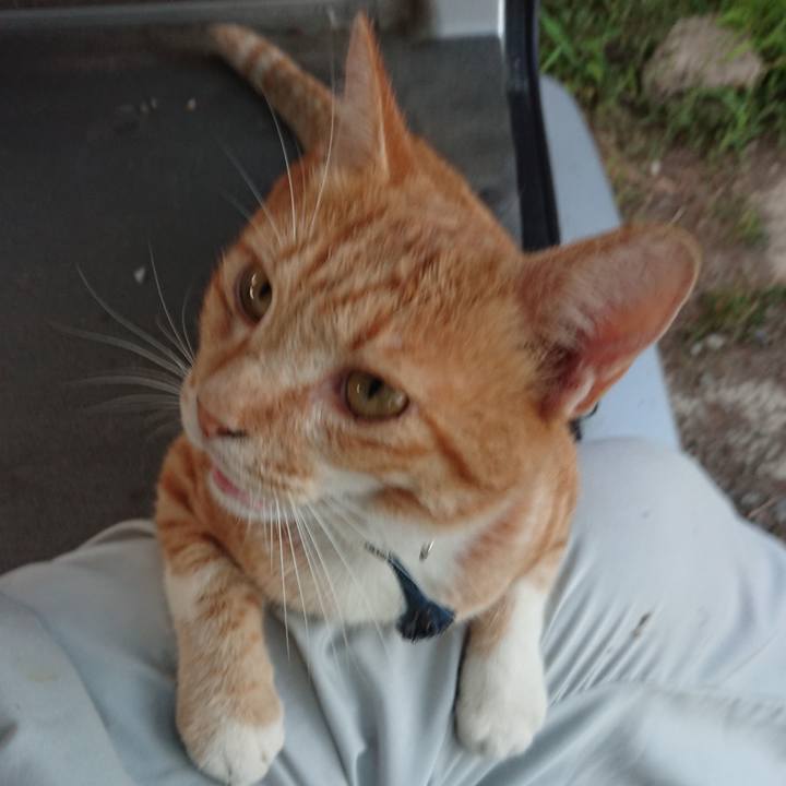 9e6bb2b2 6bfd 4b3b ac89 49b07d6b01e7 1565690323057