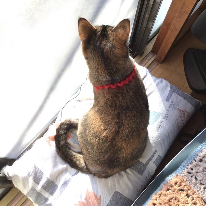 9e6bd0b0 e06b 4273 876e e3b2093cbc86 1614035033467