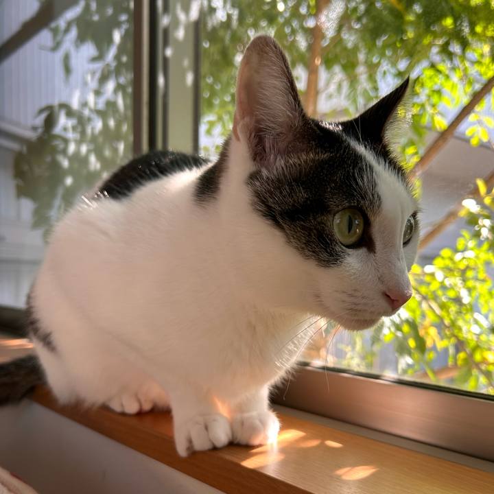 9e6c0480 bc29 4c34 b6a5 7040a41764c5 1729557550099