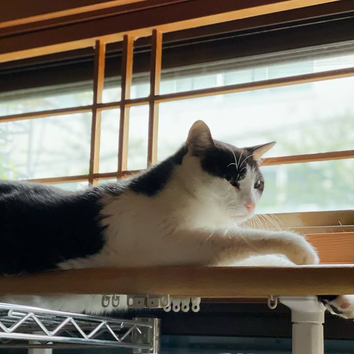 9e6c2b3b 2366 462a 9519 fc8f59662503 1633056381356