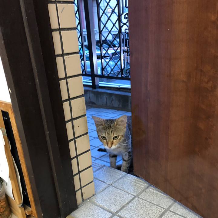 9e6c5395 1eb2 4961 8b1e 3e9c359ca6d4 1595035667626