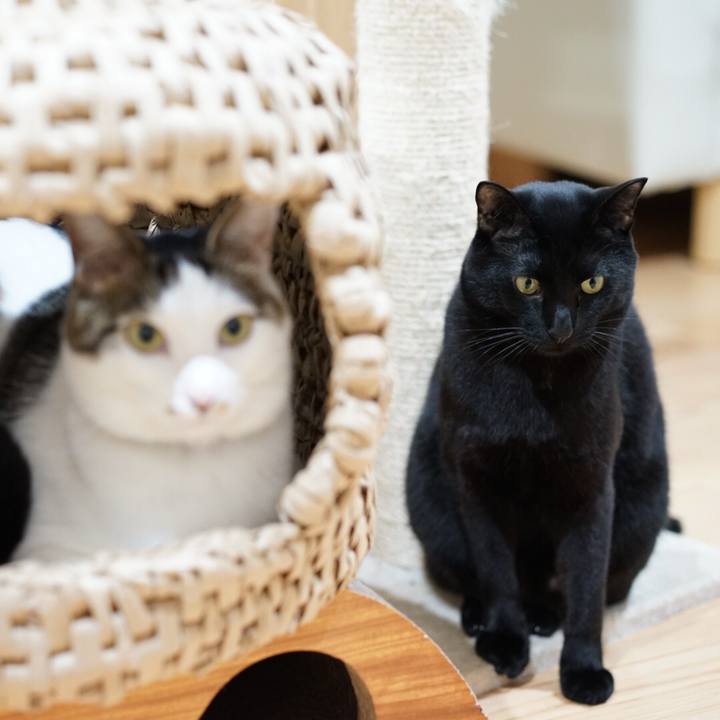 9e6ca682 8065 4617 ba2b 0e8eec1aeaf3 1550738781241