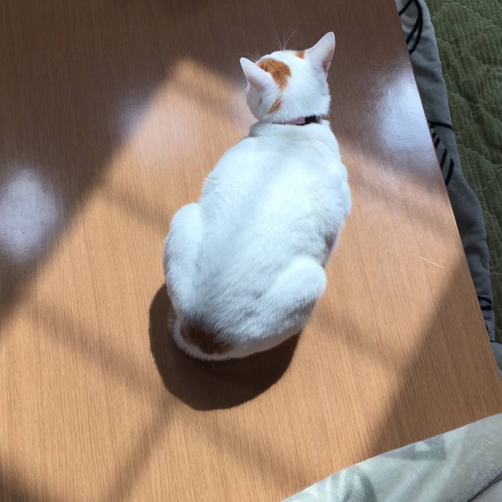 9e6cd1df df47 46ba 87ec e26cd5633527 1553315896564