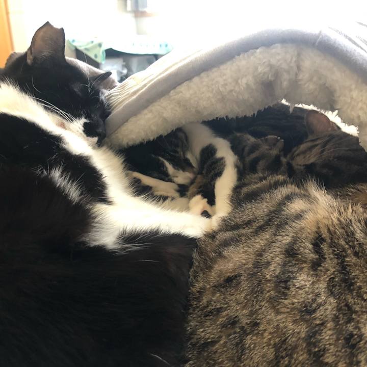 9e6cde0d 5536 4a4c 899c 6a20ed7815de 1582144729612