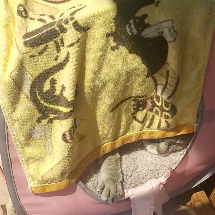 9e6d0697 ff44 44cd 98d0 0e76951bad06 1618105527759