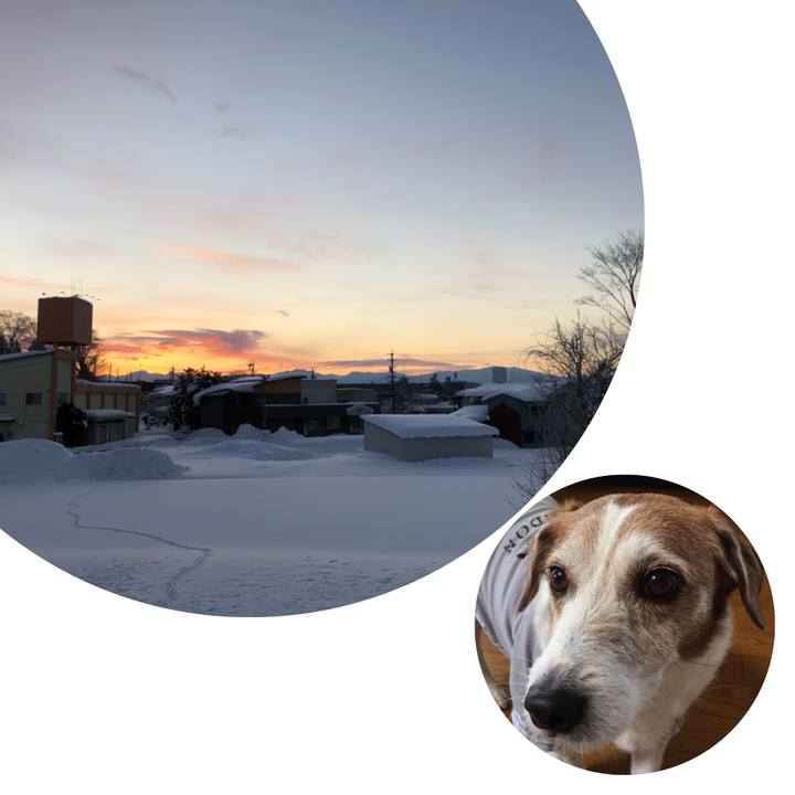 9e6d452e 8a24 4ede 8552 ed9b495754a9 1515205226146