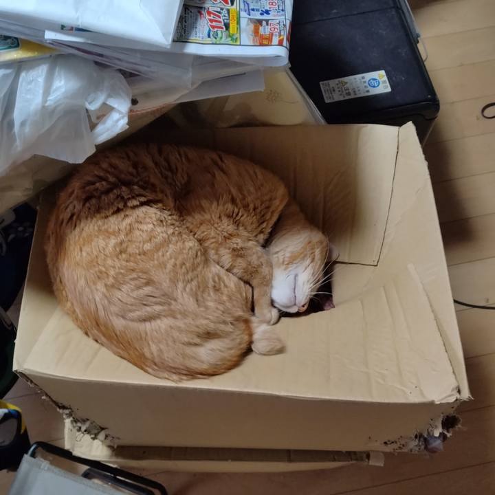 9e6d88f1 c869 4f53 a377 540a90034fed 1679449249816