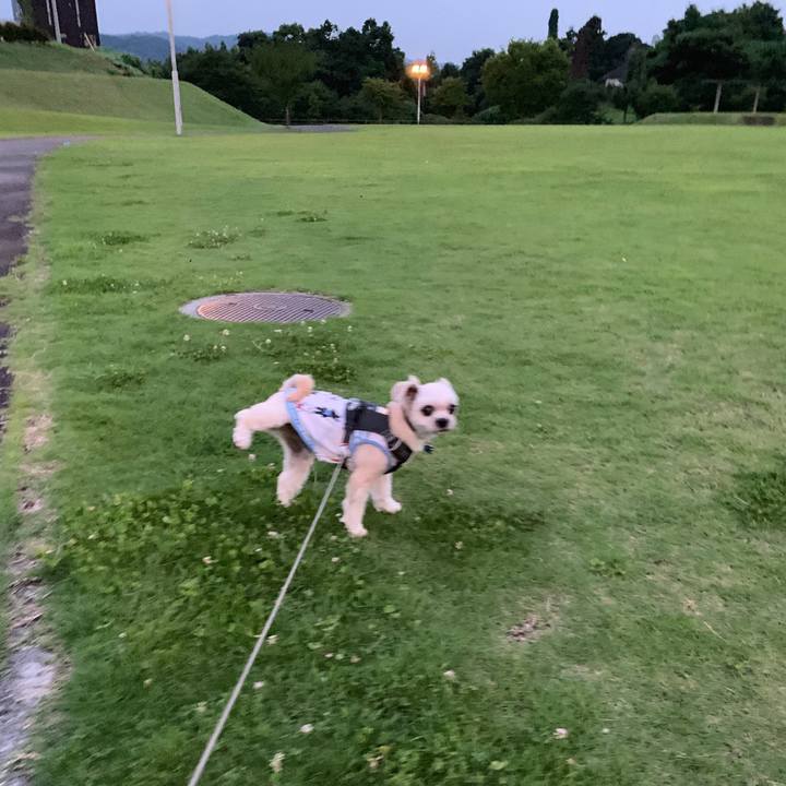 9e6d8bd9 e81c 4947 a29b b3e6aed773eb 1564396322781