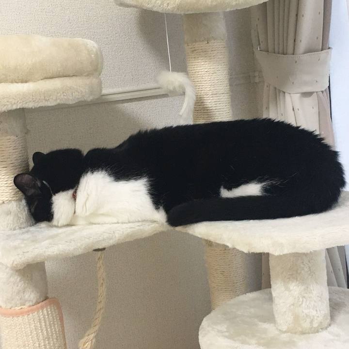 9e6d8d21 058e 461c 912c 7e9eabbacb93 1587428329518