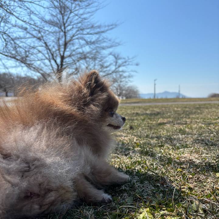 9e6d9568 70a3 475e 9c94 a07869c464c5 1774402808829