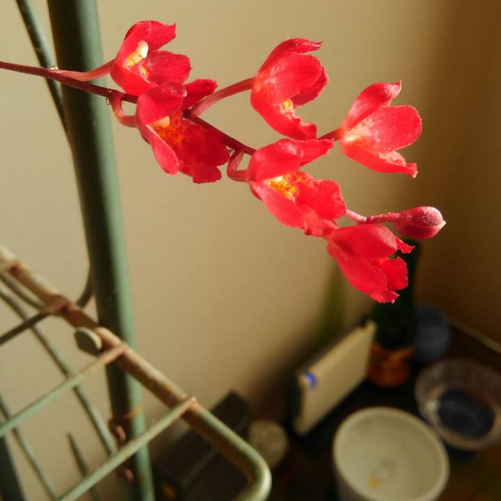 9e6dd4a1 795f 448f 8498 134a5ff7d559 1512445692068