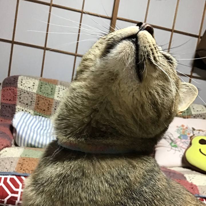 9e6ddcb5 c788 4b2e 8cf6 36545fc22d0f 1582622492965