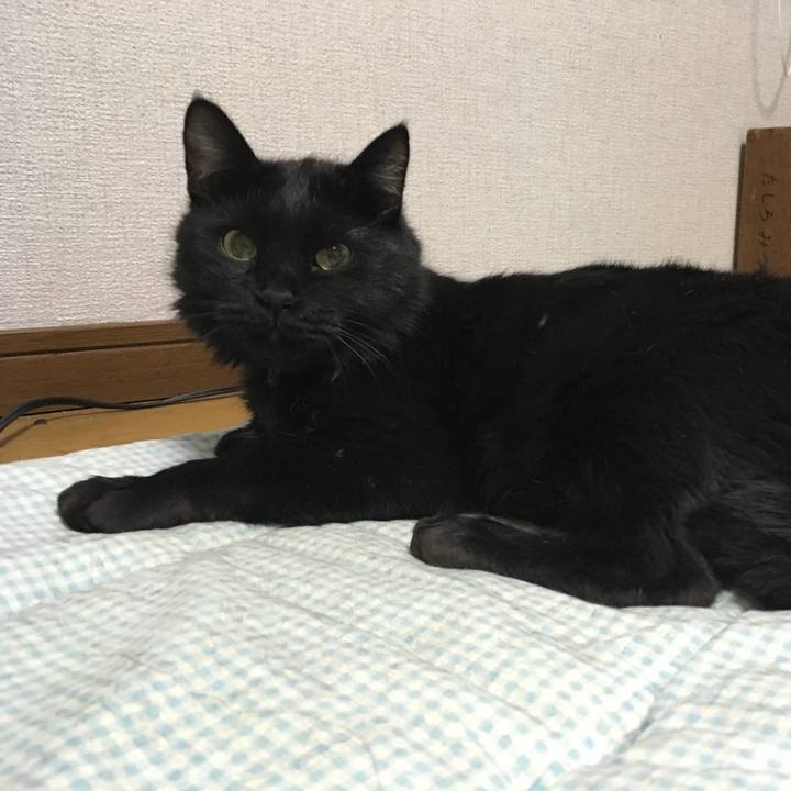 9e6df3b4 8607 4286 9cfa 5963629cf3e6 1534477314262