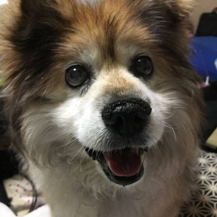 9e6e0aff b979 46c5 8c11 4162d923fe90 1584922775560