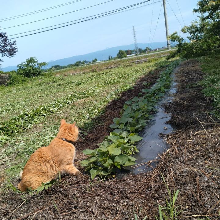 9e6e3515 aceb 4097 8f99 fd01320a13f6 1719022378294