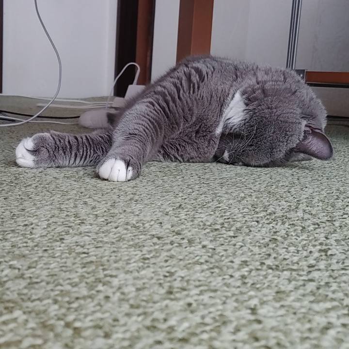 9e6e5e3e c62e 4c7e ad79 ec357d246f1c 1698552925144