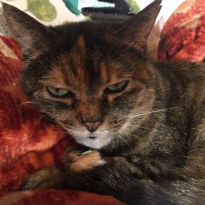 9e6e69f9 51ac 4d2a a40a 45a4d8be7574 1555282874272