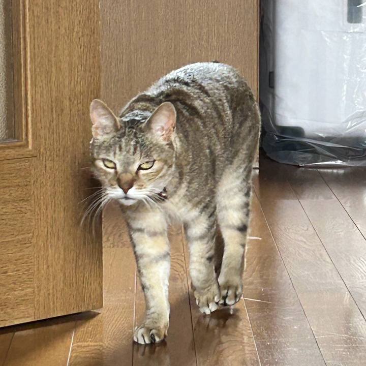 9e6e9d25 084d 4554 9f97 5bab147e8b69 1749499884586