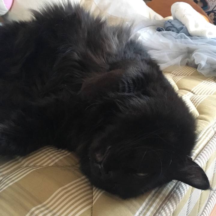 9e6e9d45 5e04 4ea5 a159 429bc4df863d 1557127653570