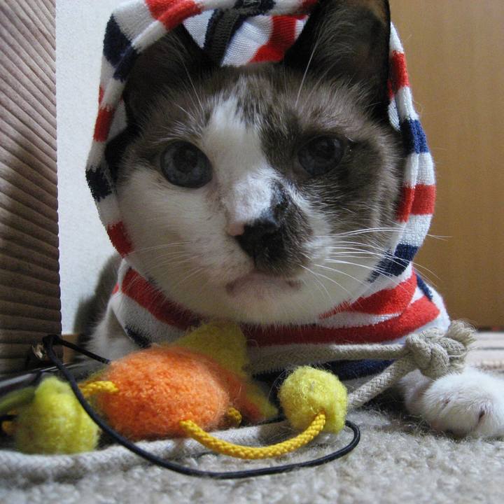 9e6ed564 4415 430a 9429 23d206fc5fe5 1548731547858