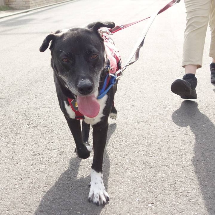 9e6eda7e 2099 463c 990e c0bbb00977ab 1689984125383