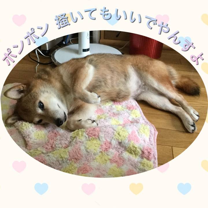 9e6ee225 256e 4b4b bb79 ad5a53fb9702 1627789833710