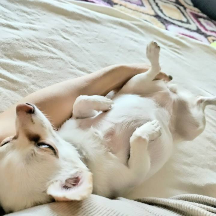 9e6f2883 f622 44ef a458 91e7ca42e5cf 1751947093105