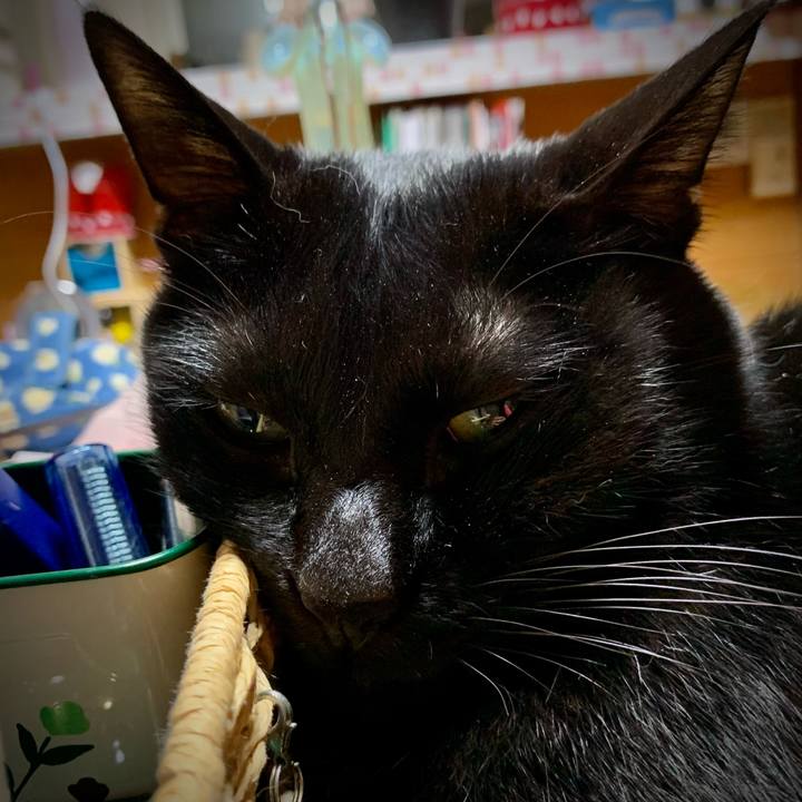 9e6f2df2 4a1f 45de 9010 98466227e9c9 1618661253137