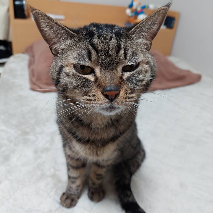 9e6f508a 4f19 4b89 b4a4 fde0b2341695 1640035730201