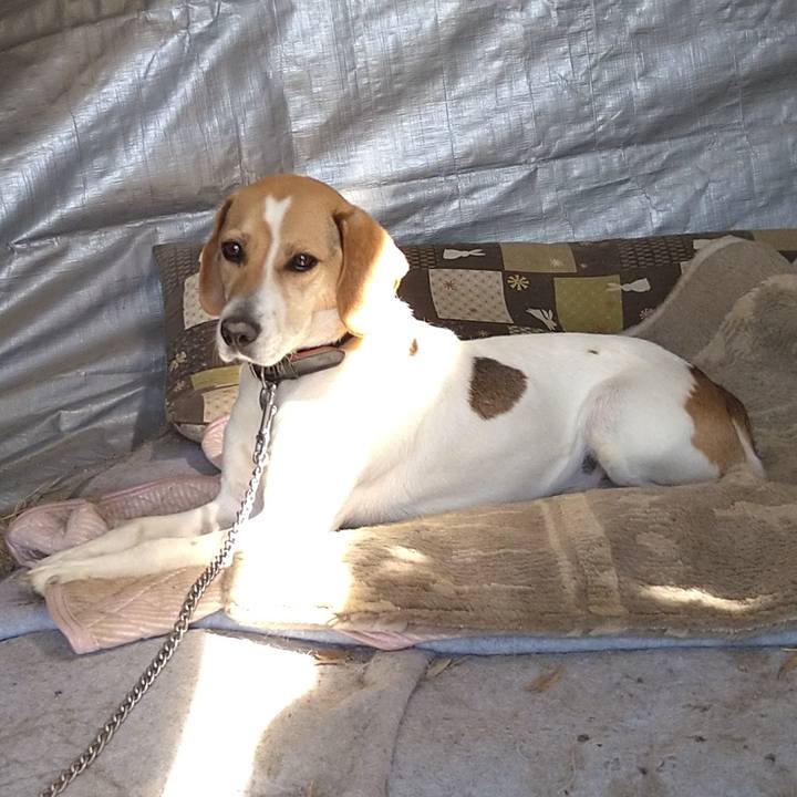 9e6f65a4 1d79 49d7 81ab 548f4069a79a 1621663888533