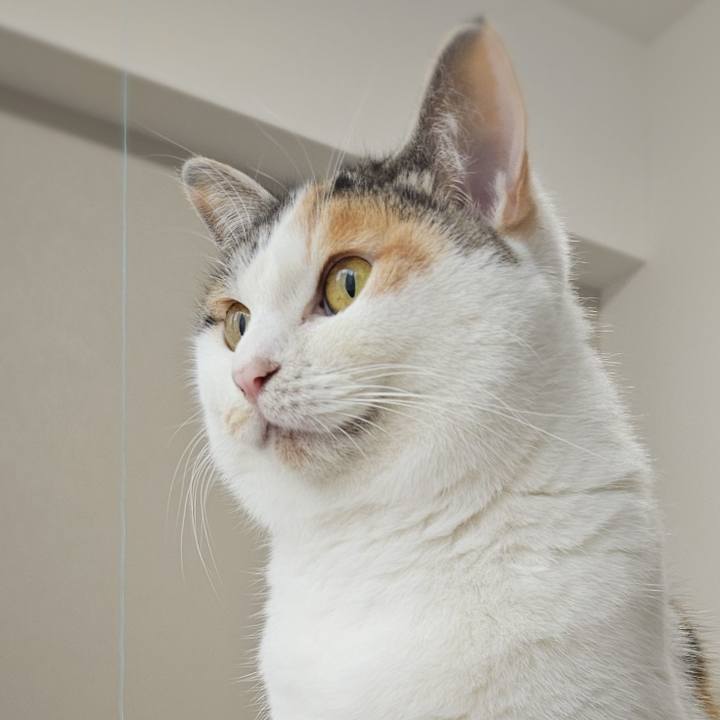 9e6f908e 7bb6 44d8 82c3 0b1dc8a92357 1770776627588