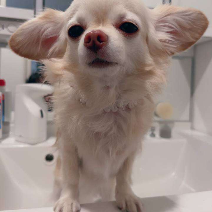 9e6fcc06 4799 4e12 958e 3b82566d1c6c 1700646422324