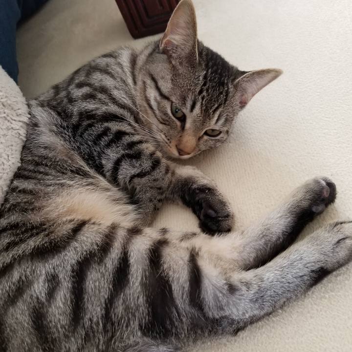 9e702455 0294 47fb 801e 6e6ed06ca290 1673620394844