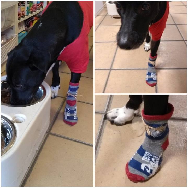 9e705e94 1267 4bac b3a5 12121e461cb8 1612656379306