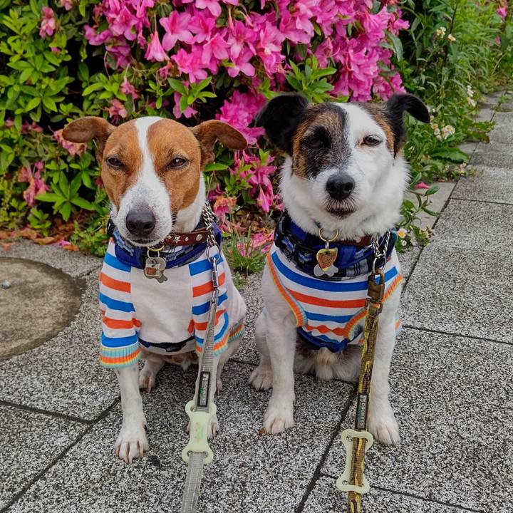 9e7064e6 592b 4ad9 a6dc 83e8e4f5a8d7 1651877811979