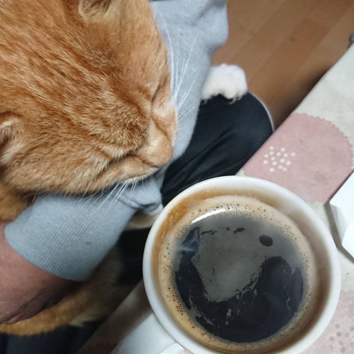 9e7065dc de49 4357 8dc1 687ef460a9b8 1605642810162