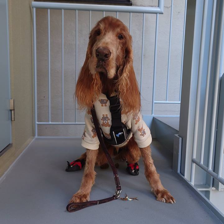 9e708207 f9a5 4441 b9f8 6f525ccbceac 1734318611853