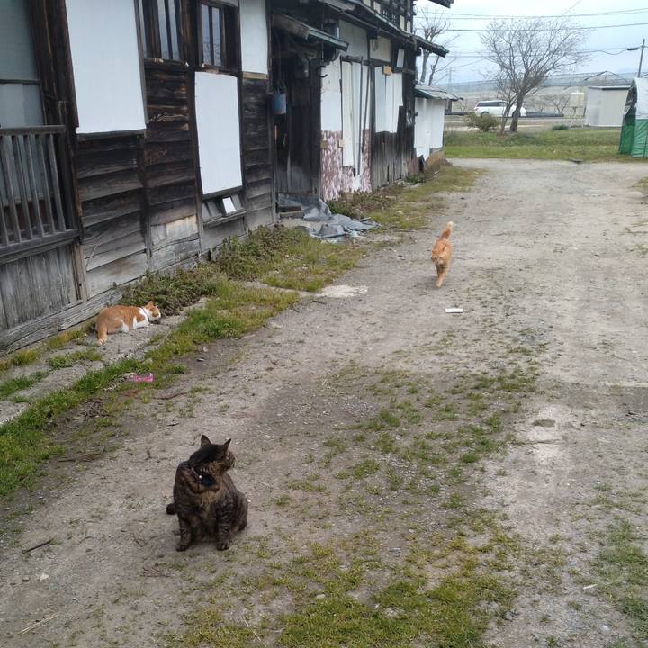 9e7085bd 2f0a 4c59 bc65 2637ef4ae701 1745143293622