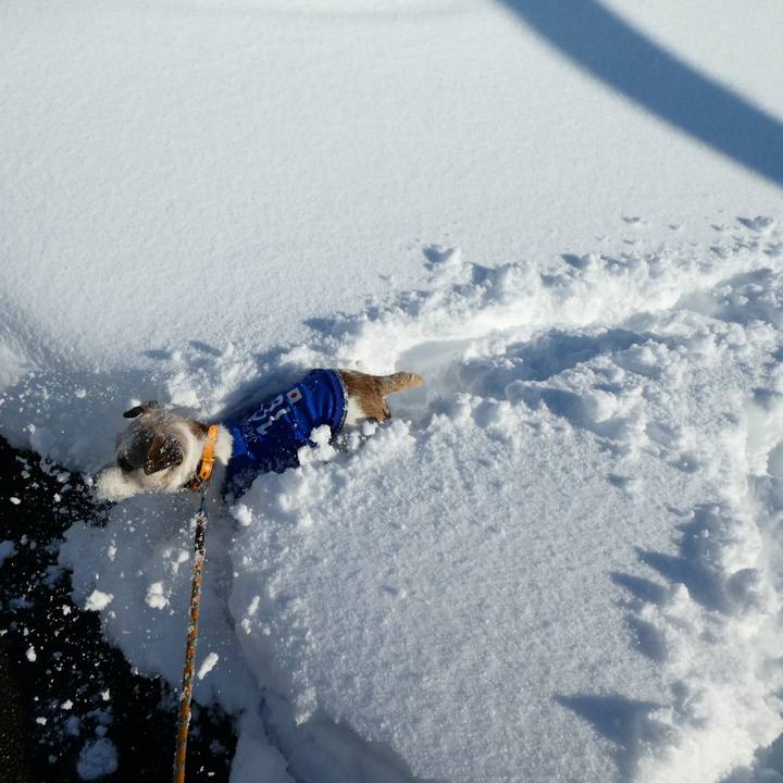 9e709a31 1a8c 4bec b819 eb7232cc6de6 1610271541420