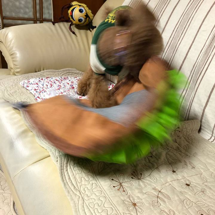 9e70a37e d4b0 49f8 aa40 2f92c10b97ba 1589588542683