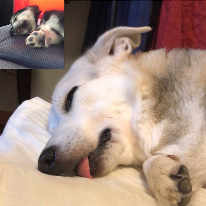 9e70adec e6ca 4476 8150 769c1a42672f 1598174829460