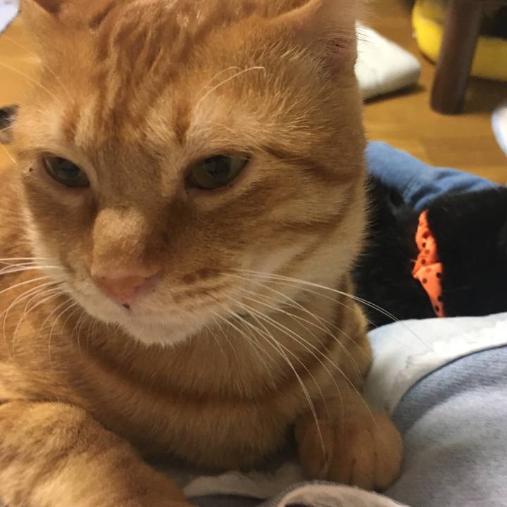 9e70ae0e 40c6 4897 8983 af1b6b89ba41 1540817082082