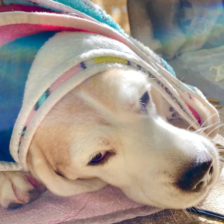 9e70b14f e50f 4c25 a5b2 dcad7f349fce 1634962120427