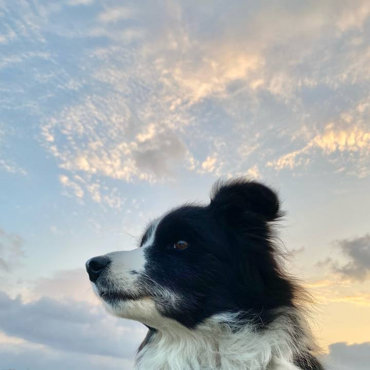 9e70d2ac 9c8f 425f a1a4 0173a001adae 1609284038188