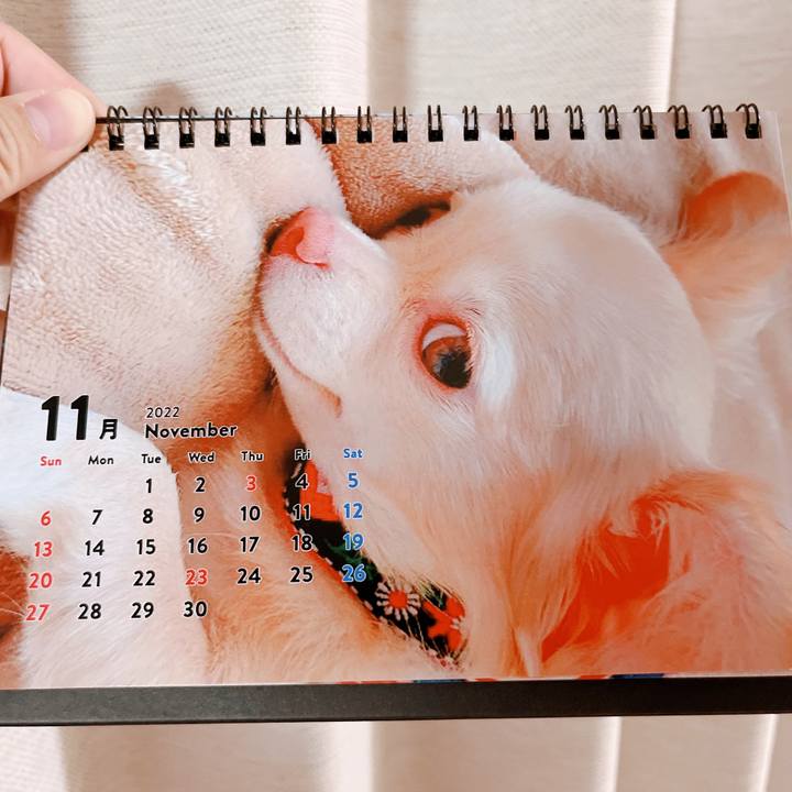 9e718f2b eff1 49c7 8097 848d76c0d764 1667304355257