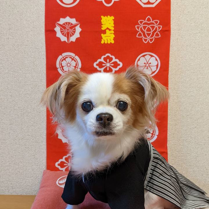 9e7195c7 a633 46a8 91eb b931f8b6c68a 1641789988019