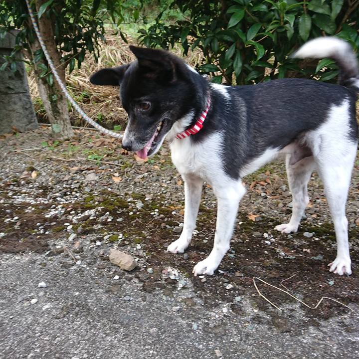 9e719613 f99b 4da5 bece 51259ab27e67 1565665025359